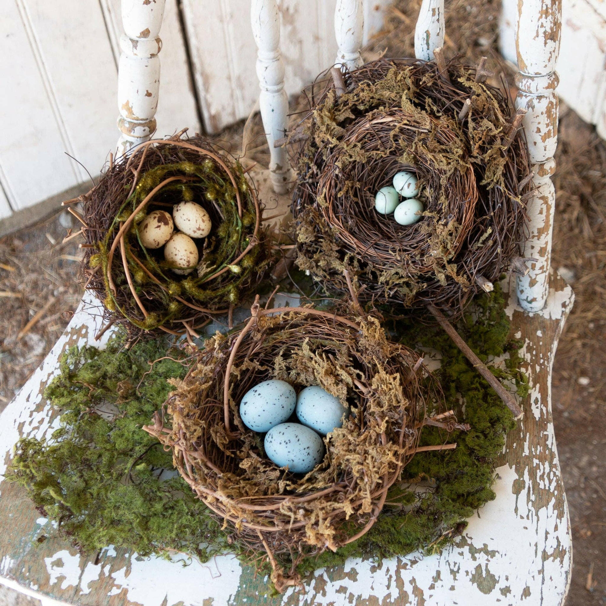 Decorative Bird Nests.
