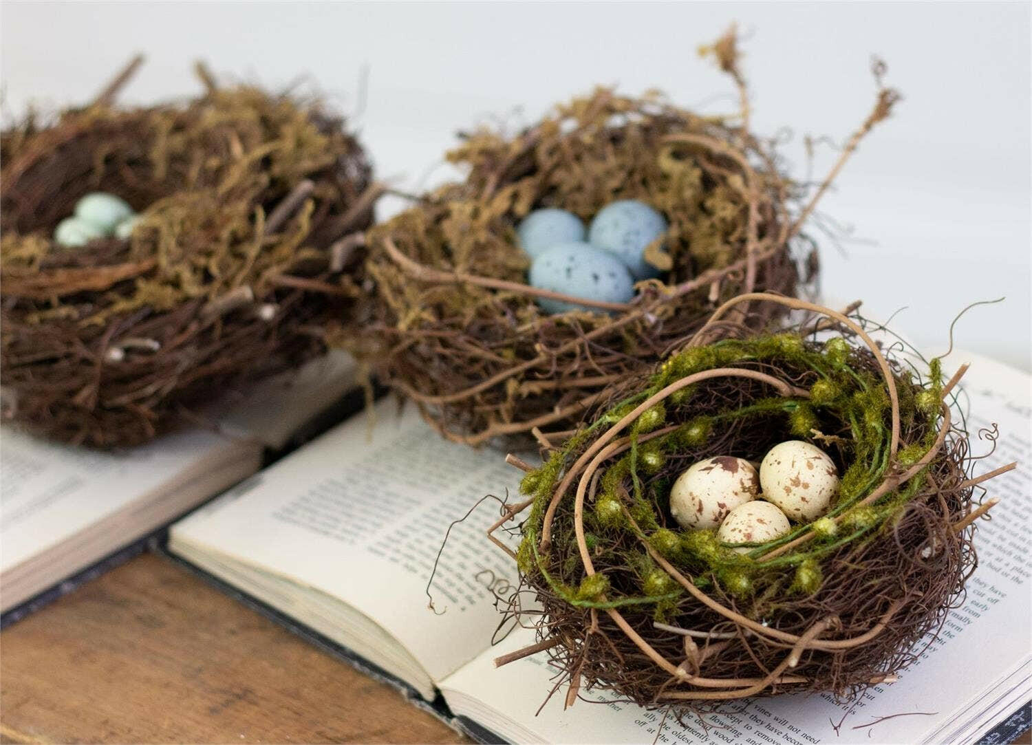 Decorative Bird Nests.