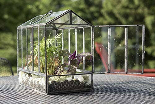 glass house plant terrarium Urban Born Handmade Indoor Tabletop Greenhouse Terrarium-- 10(L) x 6.5(W) x 10(H) (Black)