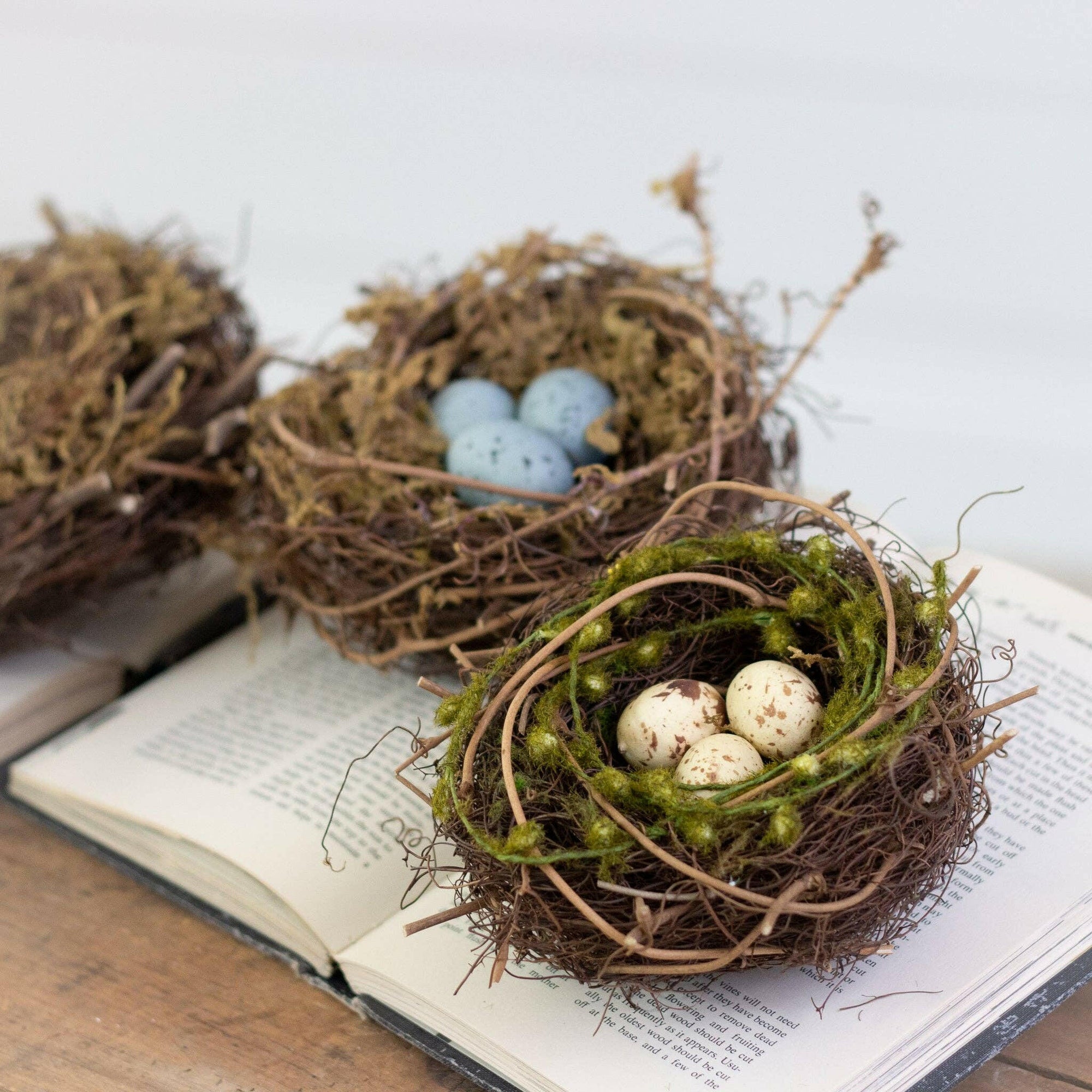 Decorative Bird Nests.