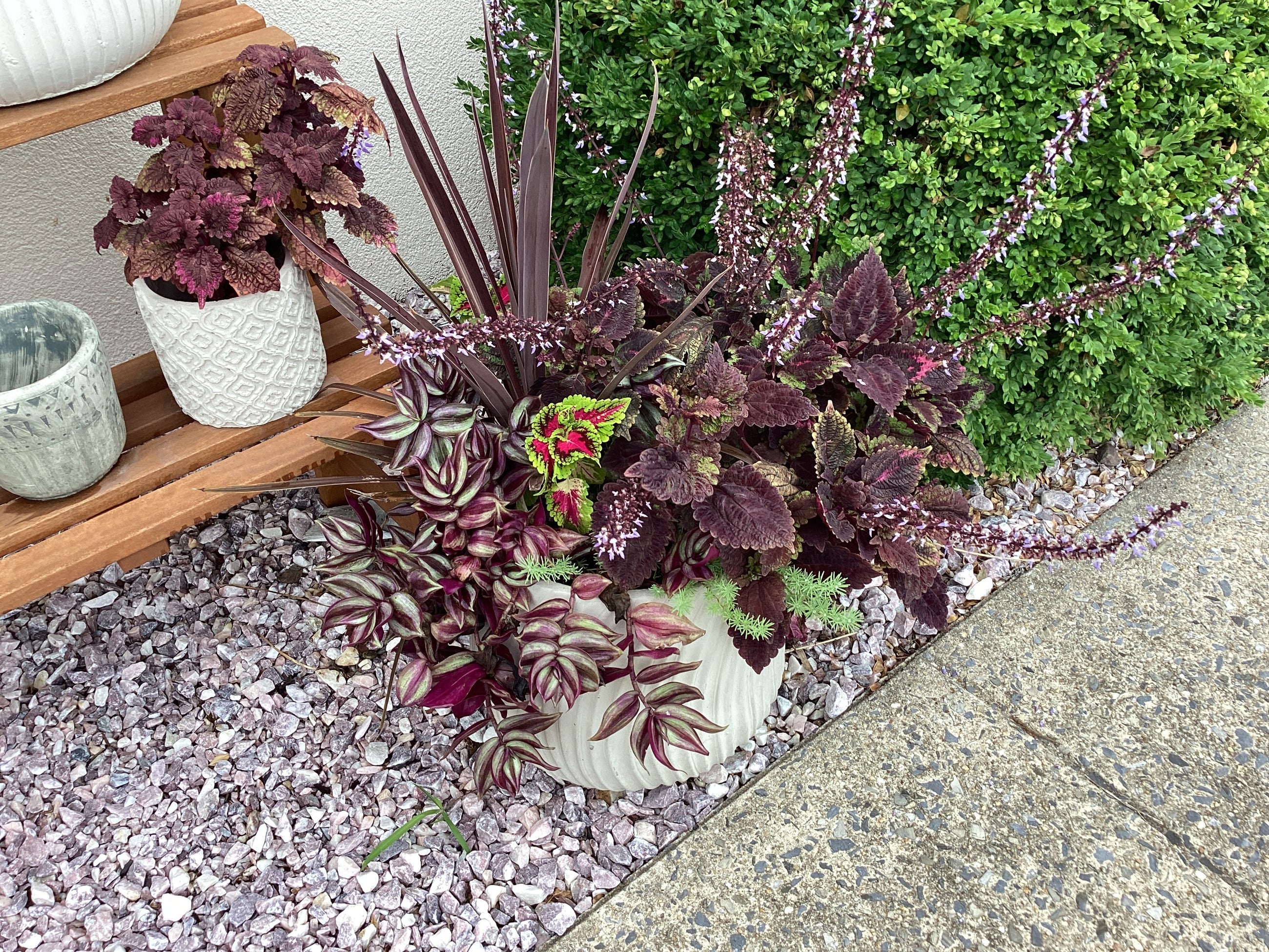 Assorted Large Cement Planter with plants