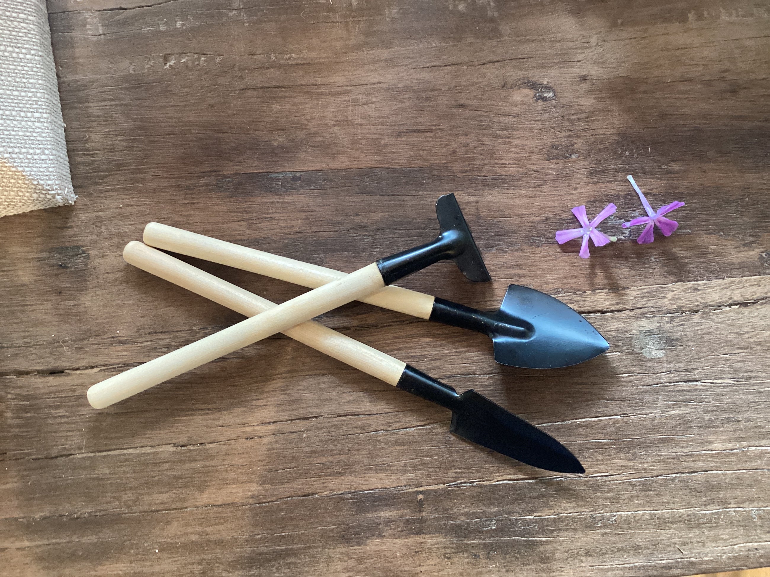 Terrarium 3 piece Tool Kit