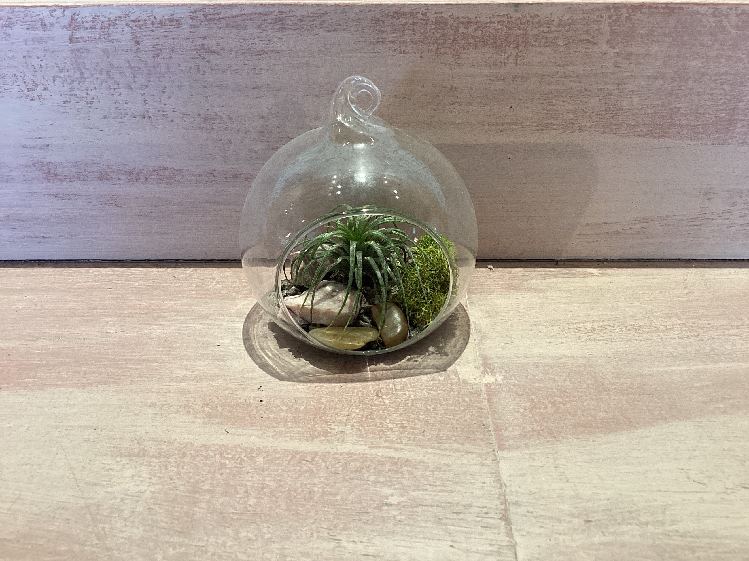 Hanging Flat Bottom Glass Terrarium