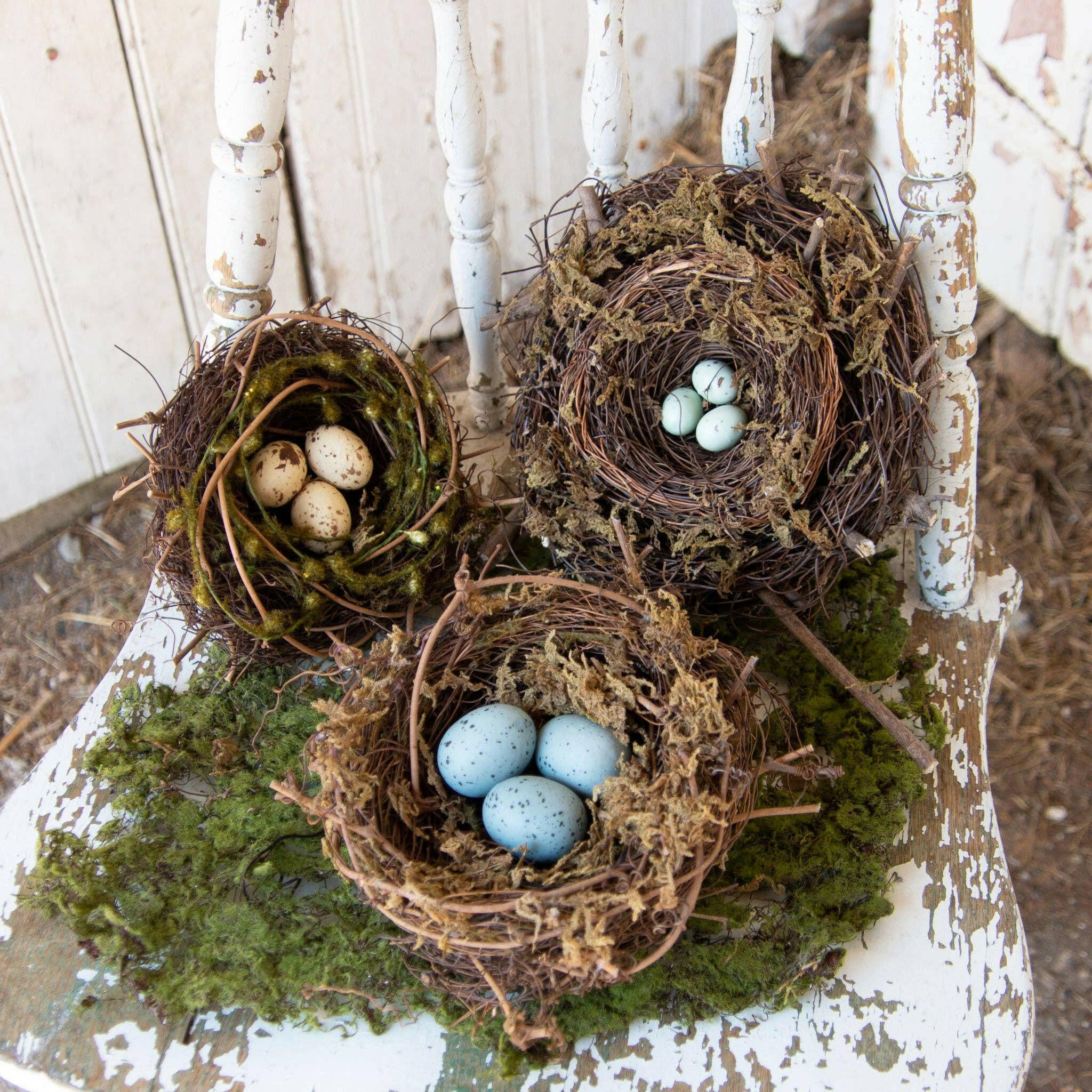 Decorative Bird Nests.