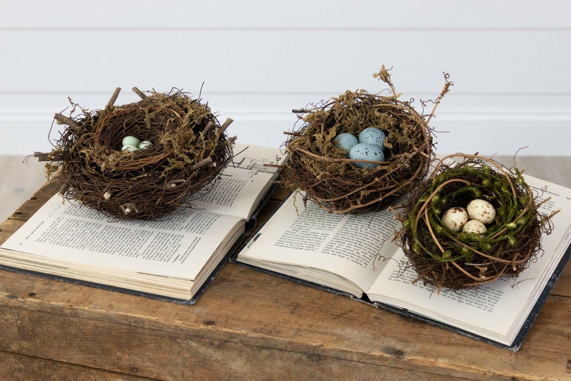 Decorative Bird Nests.