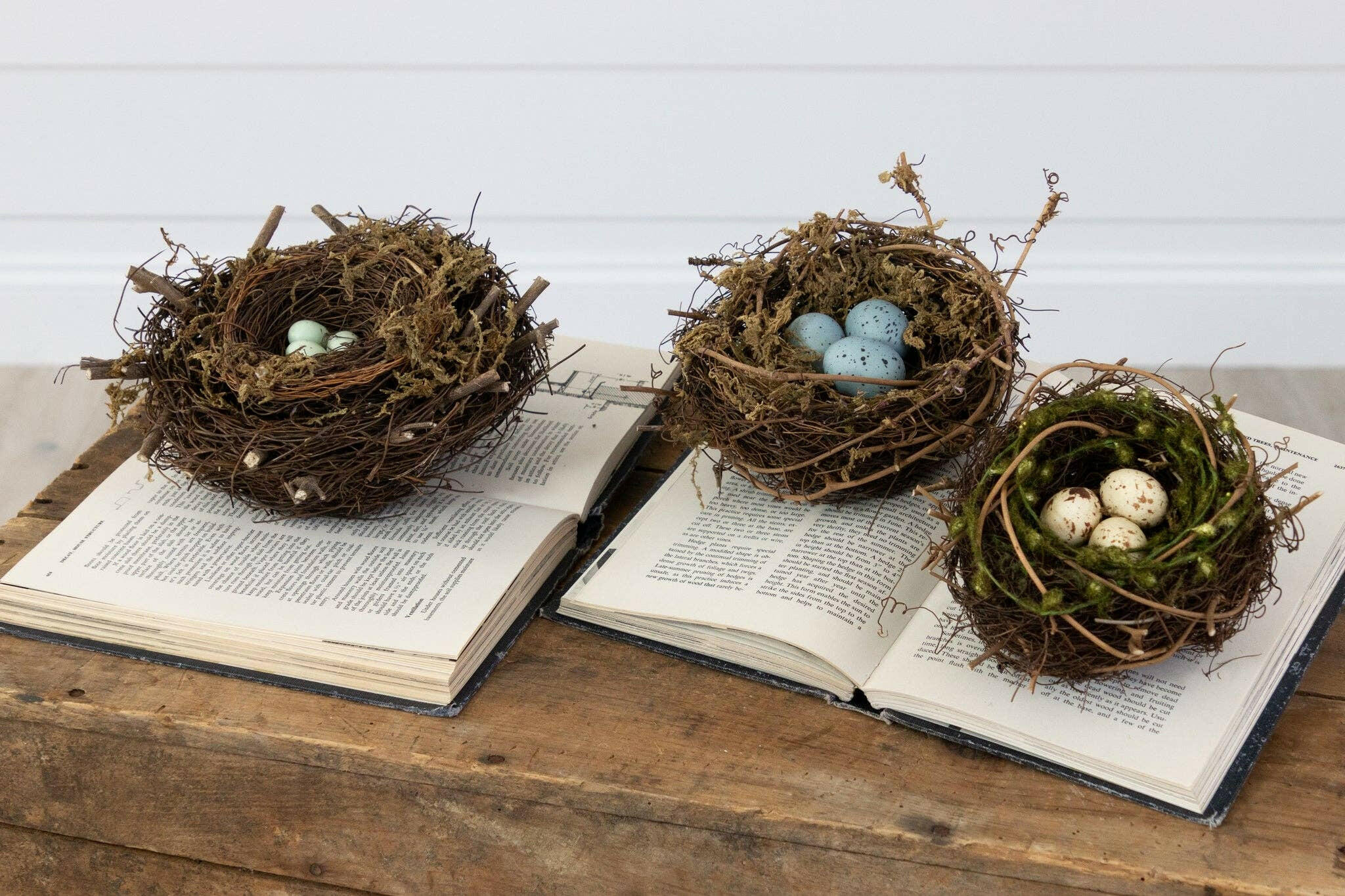 Decorative Bird Nests.