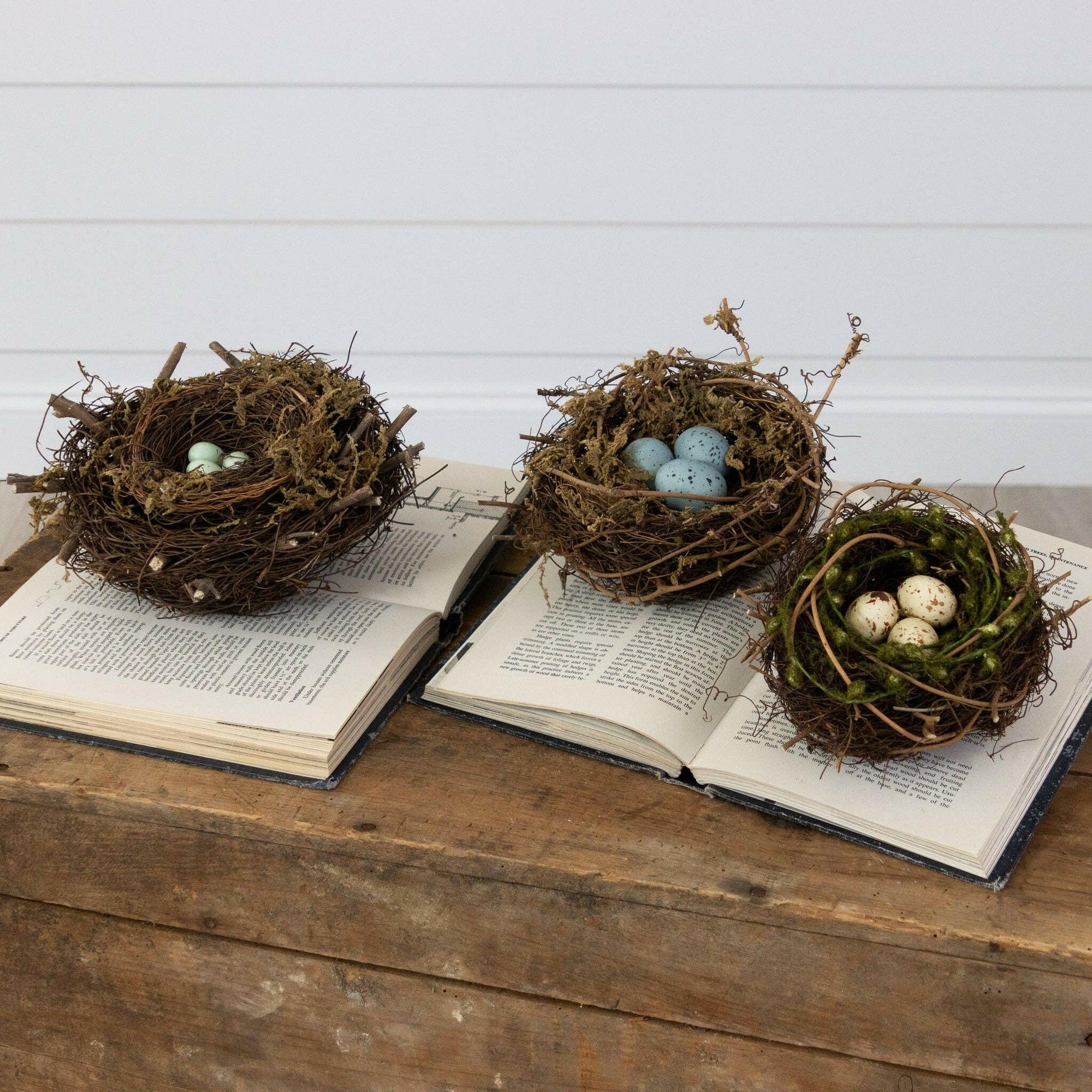 Decorative Bird Nests.