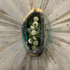 Long Glass Bowl Large/Terrarium Hand Blown on Driftwood.