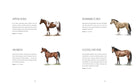 Horse Country