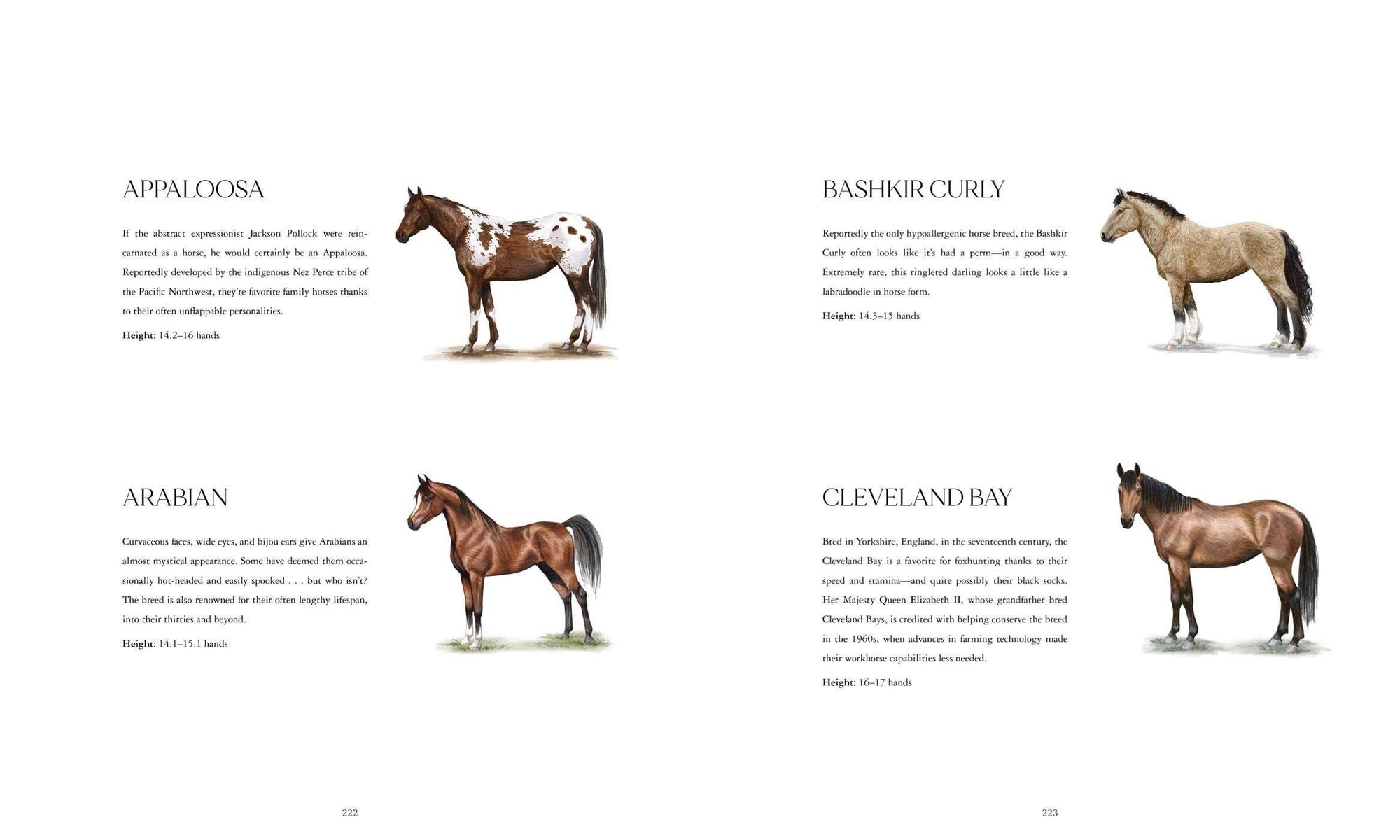Horse Country