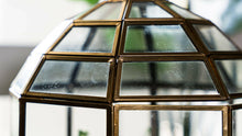Urban Born Large Terrarium Birdcage, Glass and Metal, 10x9".