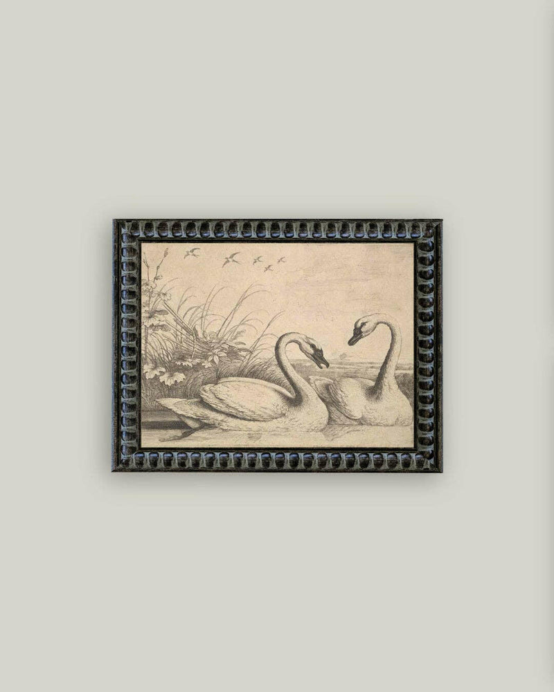 Two Swans Framed Antique Art.
