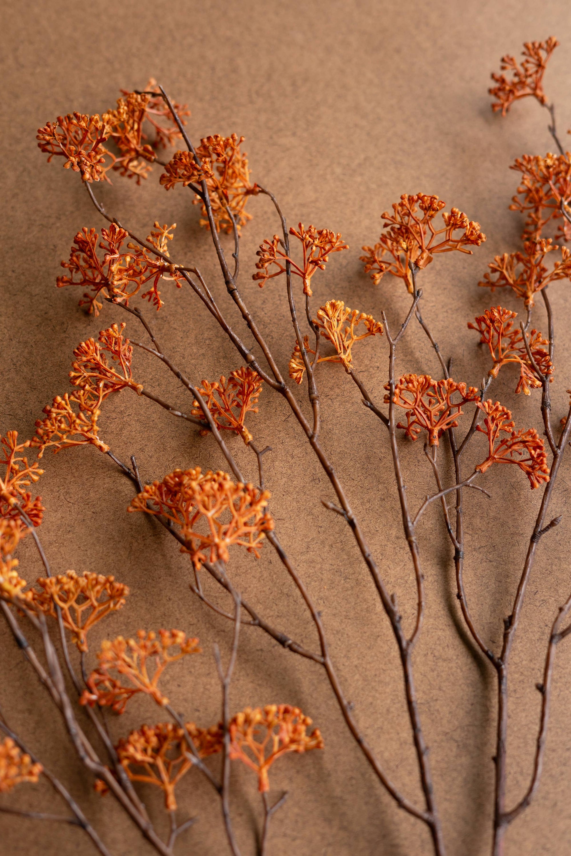 ARTIFICIAL RICE FLOWER STEM - RUST