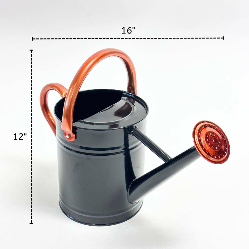 Lexi Home 3-Liter Removable Spout Watering Cans.