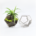 6.25"D Geometric Terrarium Bowl - Beckham Glass Vase.