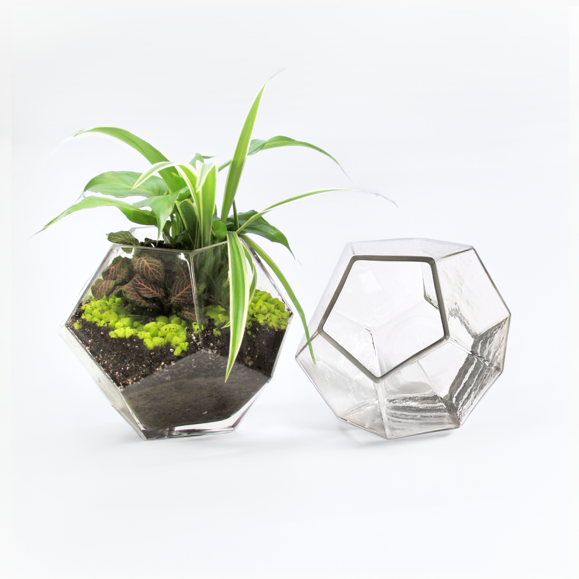 6.25"D Geometric Terrarium Bowl - Beckham Glass Vase.