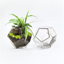 6.25"D Geometric Terrarium Bowl - Beckham Glass Vase.