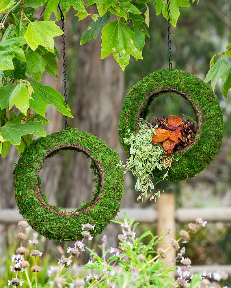 Sunrise Wicker Rim Fly-Through Bird Feeder.