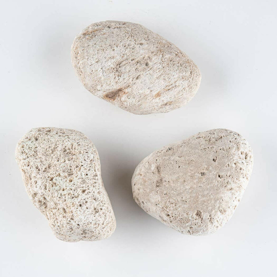 Pumice Stone.
