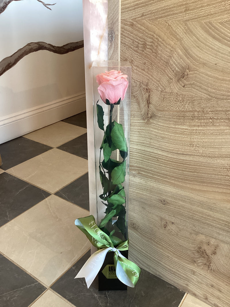 Pink Forever Preserved Rose