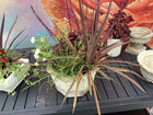 Assorted Large Cement  Planter with plants