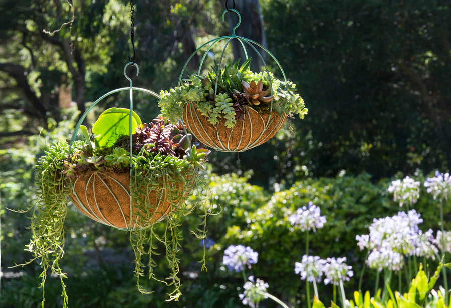 Leeds Sphere Metal Hanging Basket.