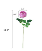 17"Premium Real touch English Austin Cabbage Rose Stem.