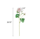 18"-Real Touch Ranunculus with 2 buds.