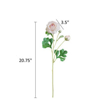 18"-Real Touch Ranunculus with 2 buds.