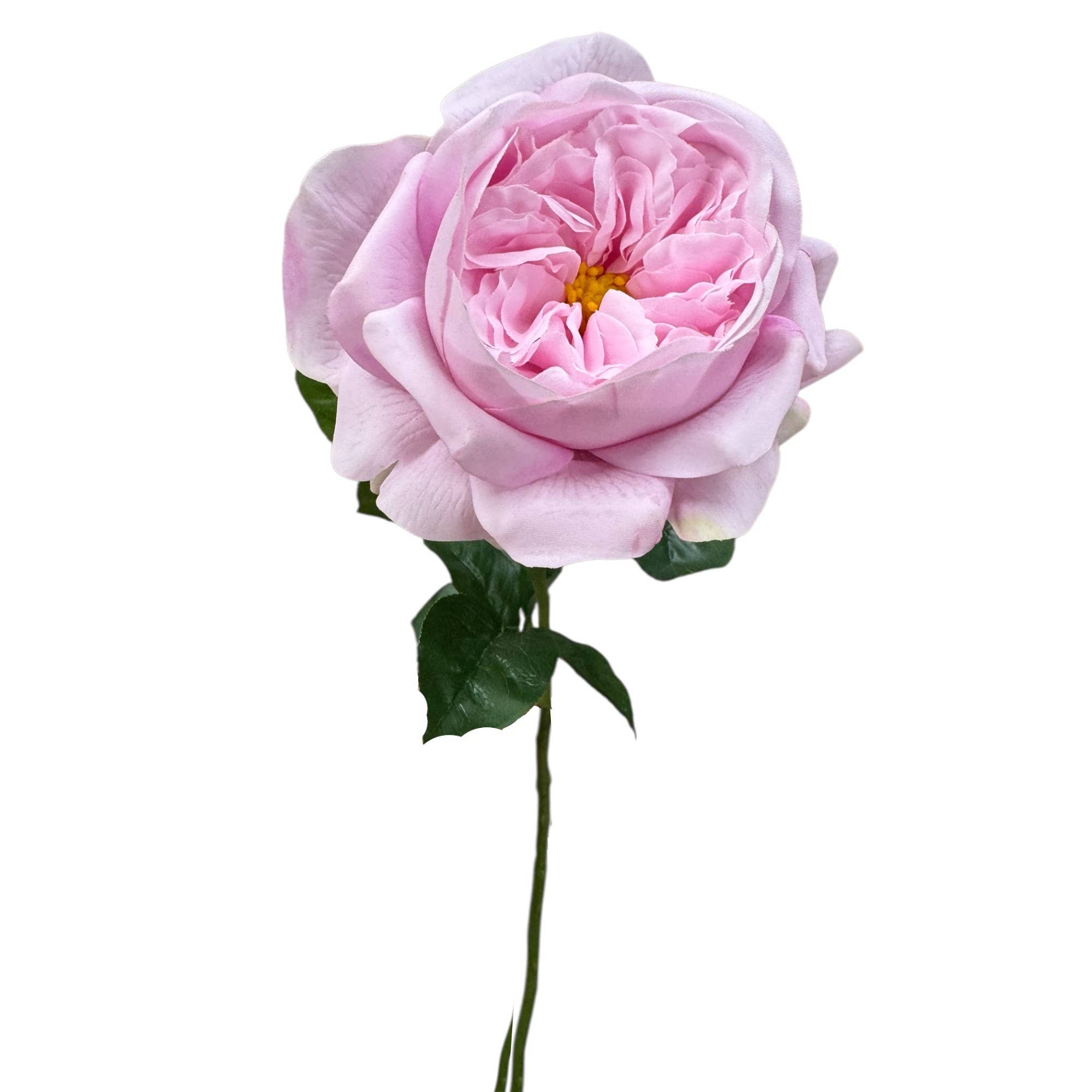 18"Elegant Real touch Juliet Rose-Moisture-touch coating
