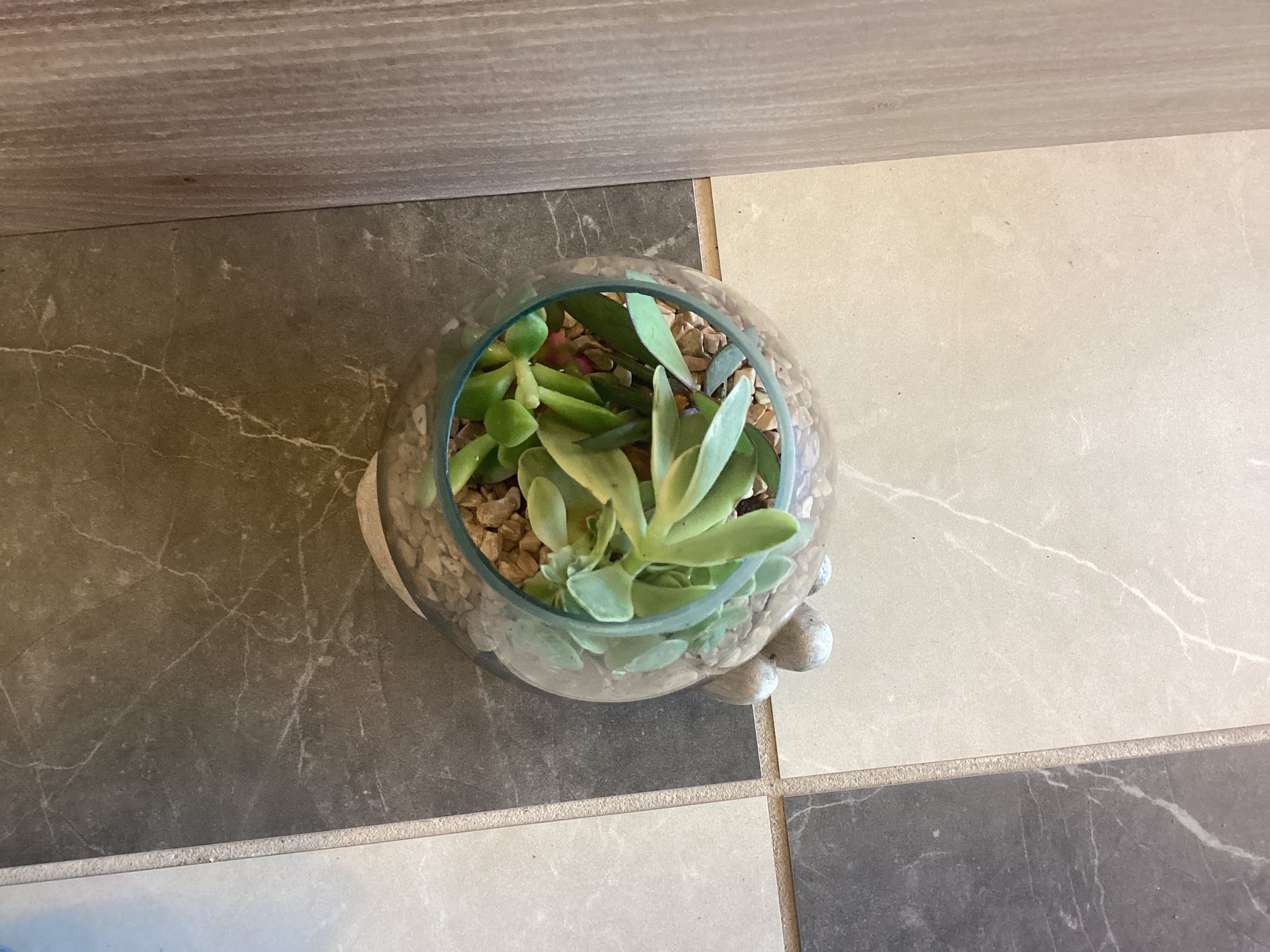 Open Hand Terrarium