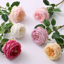 17"Premium Real touch English Austin Cabbage Rose Stem.