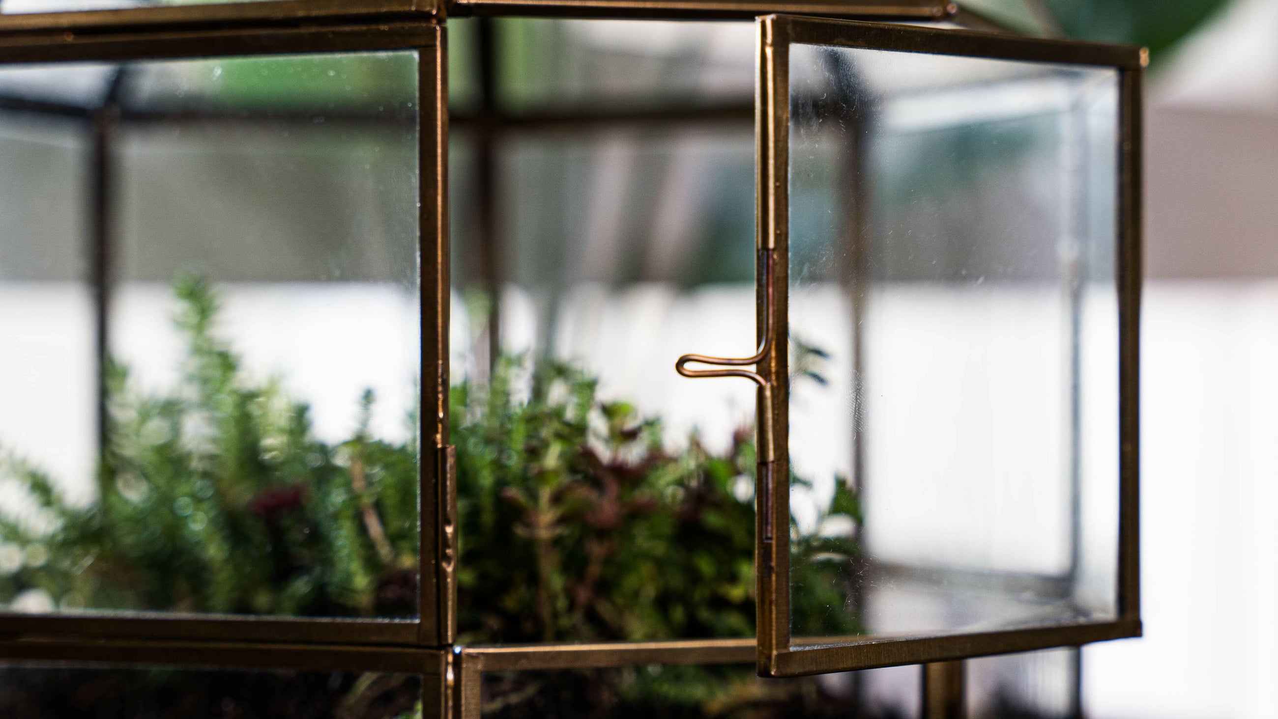 Urban Born Large Terrarium Birdcage, Glass and Metal, 10x9".