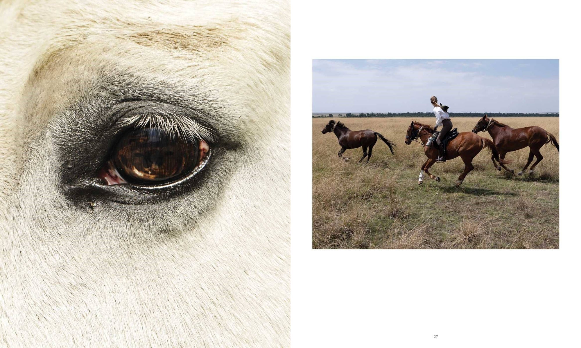 Horse Country