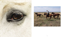Horse Country