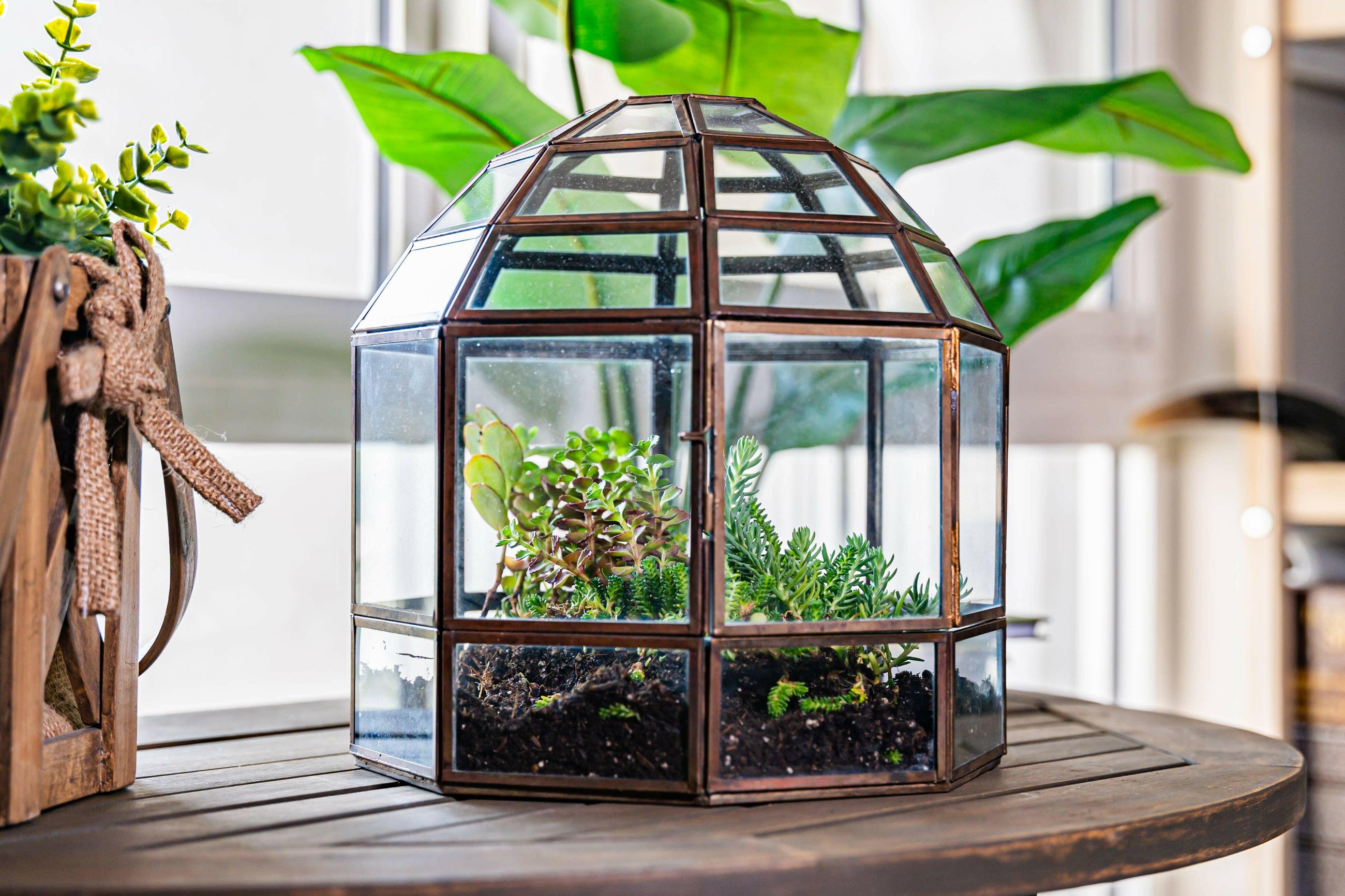 Urban Born Large Terrarium Birdcage, Glass and Metal, 10x9".