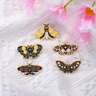 Floral Moth Butterfly Enamel Pins - Beautiful brooch pins