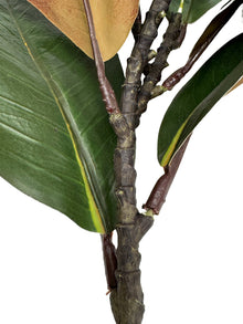 22"Ultra realistic Real Touch Magnolia Stem