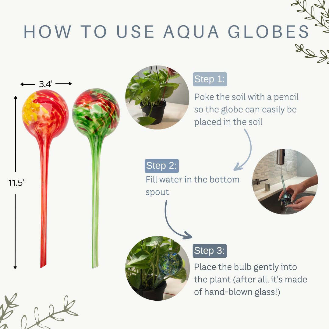 water globes for indoor plants Lexi Home Watering Aqua Globes for Plants