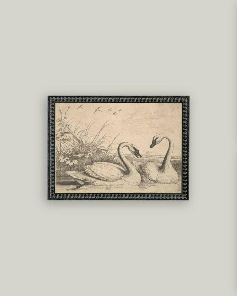 Two Swans Framed Antique Art.