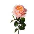 27"-Lux Faux Juliet Rose-Moisturizing Finish-5"Bloom