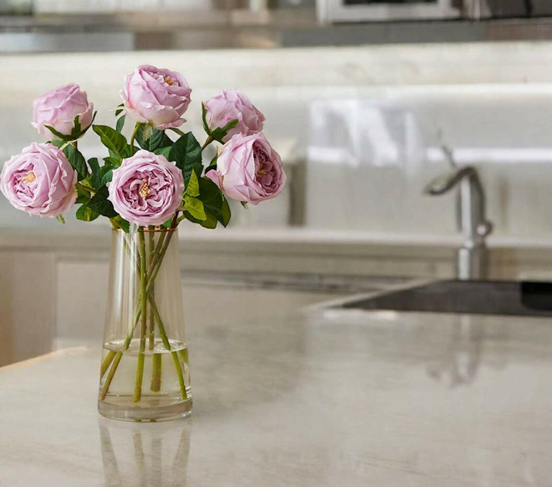 17"Premium Real touch English Austin Cabbage Rose Stem.