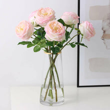 17"Premium Real touch English Austin Cabbage Rose Stem.