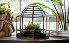 Urban Born Large Terrarium Birdcage, Glass and Metal, 10x9".
