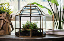 Urban Born Large Terrarium Birdcage, Glass and Metal, 10x9".