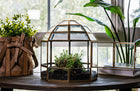 Urban Born Large Terrarium Birdcage, Glass and Metal, 10x9".