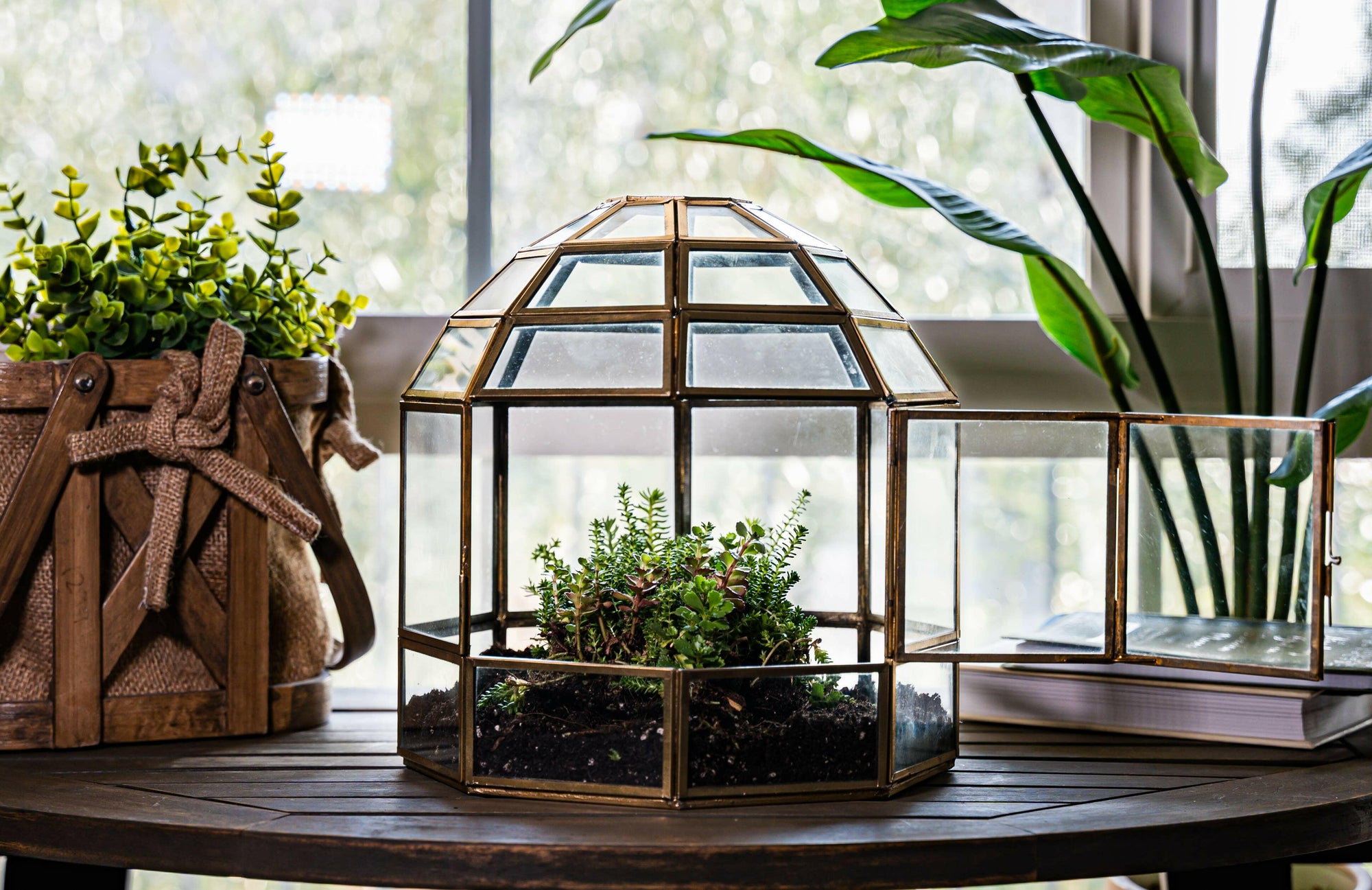 Urban Born Large Terrarium Birdcage, Glass and Metal, 10x9".