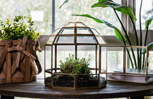 Urban Born Large Terrarium Birdcage, Glass and Metal, 10x9".