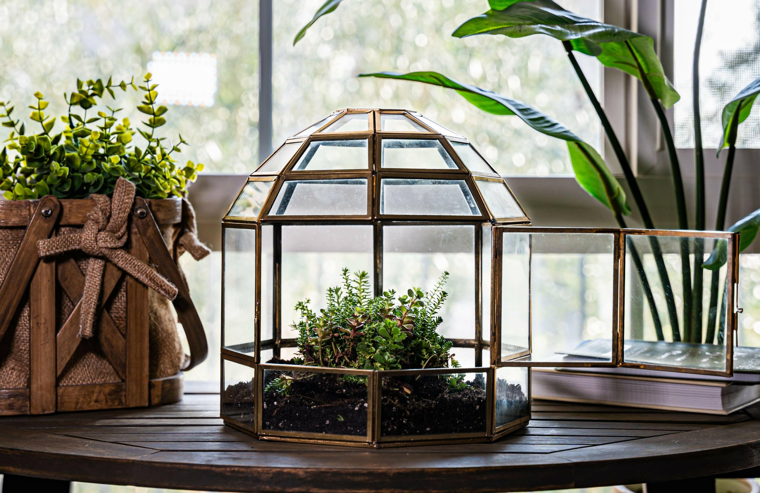 Urban Born Large Terrarium Birdcage, Glass and Metal, 10x9".