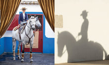 Horse Country